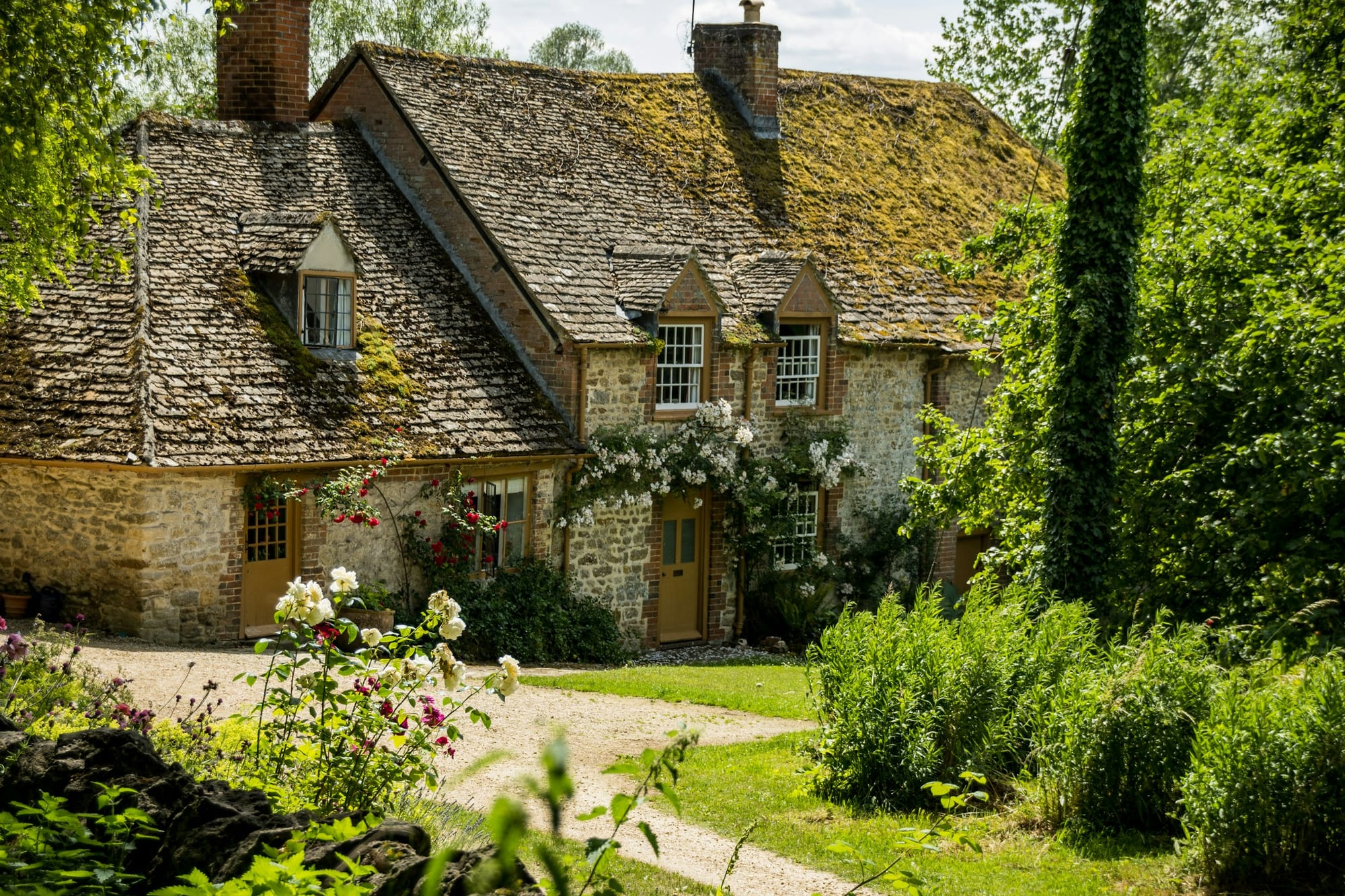 An English stone cottage with roses growing beside the door