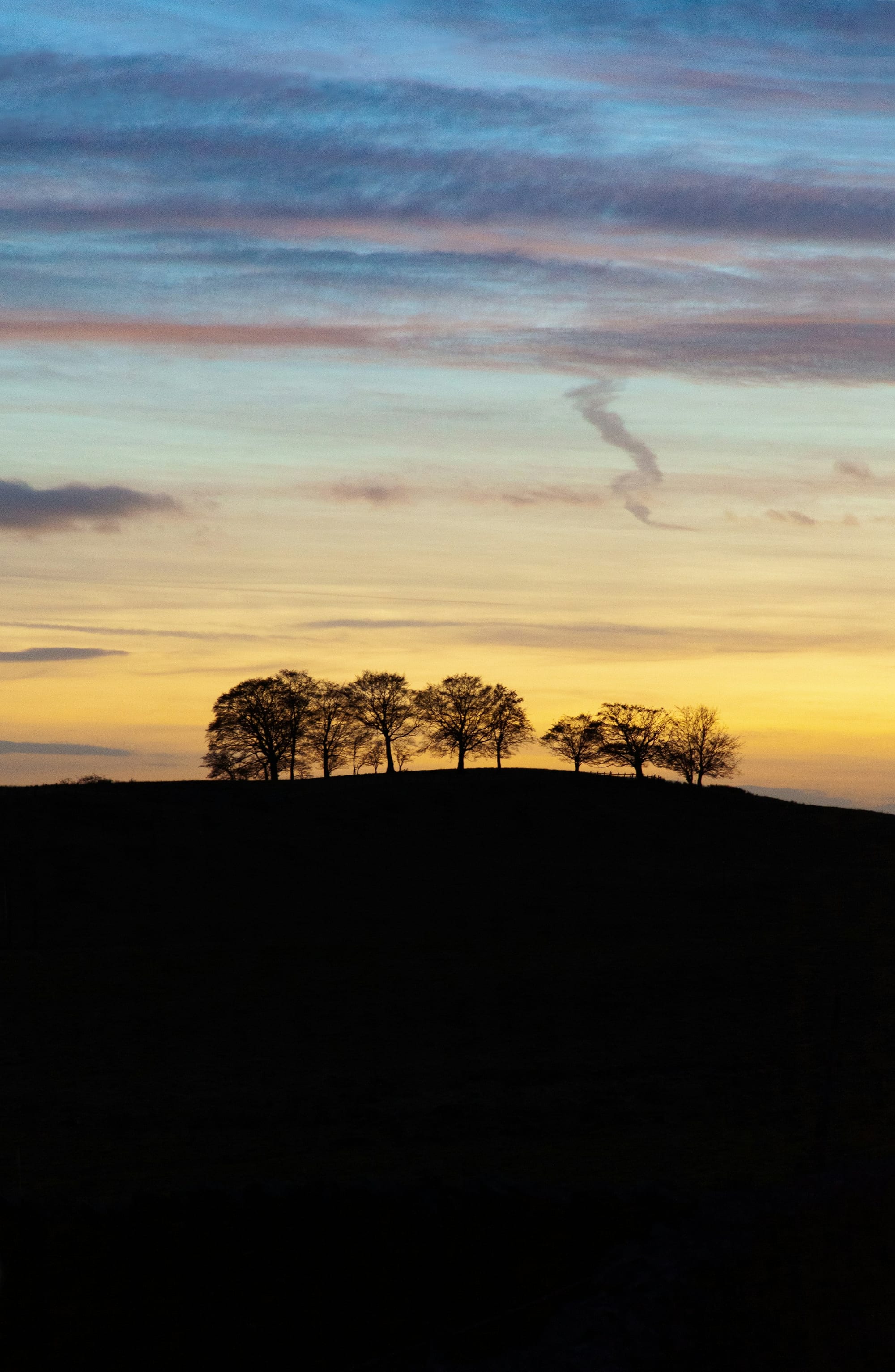 A copse of trees on a northern ridge at dusk