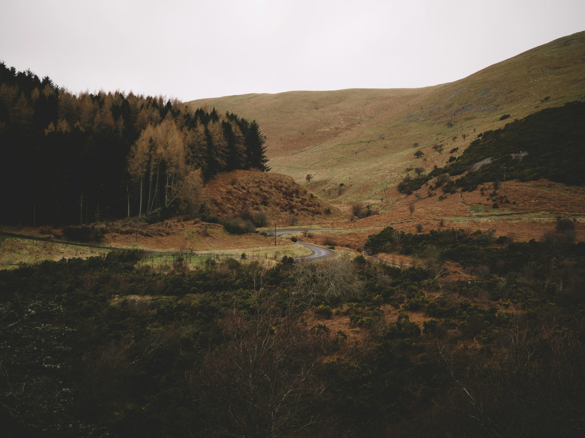 A wooded northern valley in autumn light